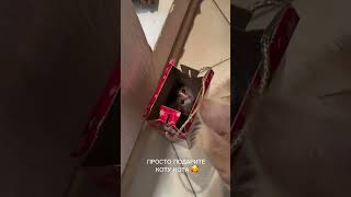 ТГ: layla_winx #гипнокоуч #гипнолог #гипнотерапия #гипнологонлайн #гипноз #транс #гипнозонлайн