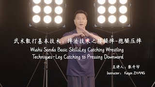Wushu Sanda Basic Skills-Leg Catching  Wrestling Techniques-Leg Catching to Pressing Downward