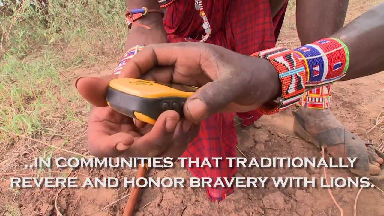 Lion Guardians - Sustainable Coexistence Between People & Lions in Africa