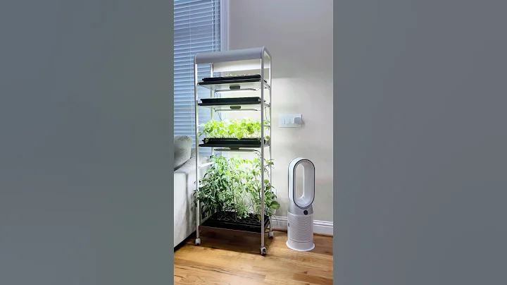 Green Up Your Home with Vego’s Grow Light Garden!