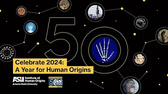 Lucy 50—Donald Johanson discovers the first bone