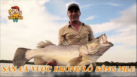 SĂN CÁ VƯỢC KHỔNG LỒ SÔNG NILE