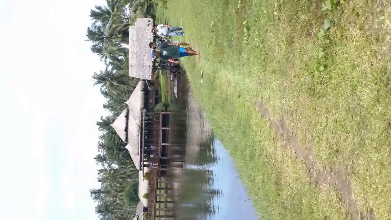 grouper fish"LAPU-LAPU" by harley P. duco