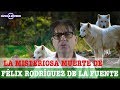 LA MISTERIOSA MUERTE DE FÉLIX RODRÍGUEZ DE LA FUENTE