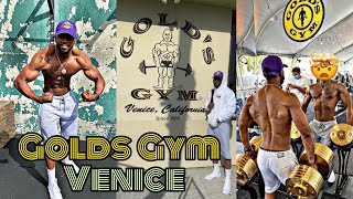 My First time Pumping iron at Golds Gym Venice The Mecca …
