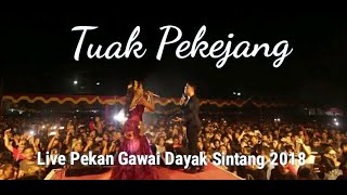 Lagu Dayak Kalimantan  Barat, Tuak Pekejang Live Jan Piter feat Erna Pekan Gawai Dayak 2018