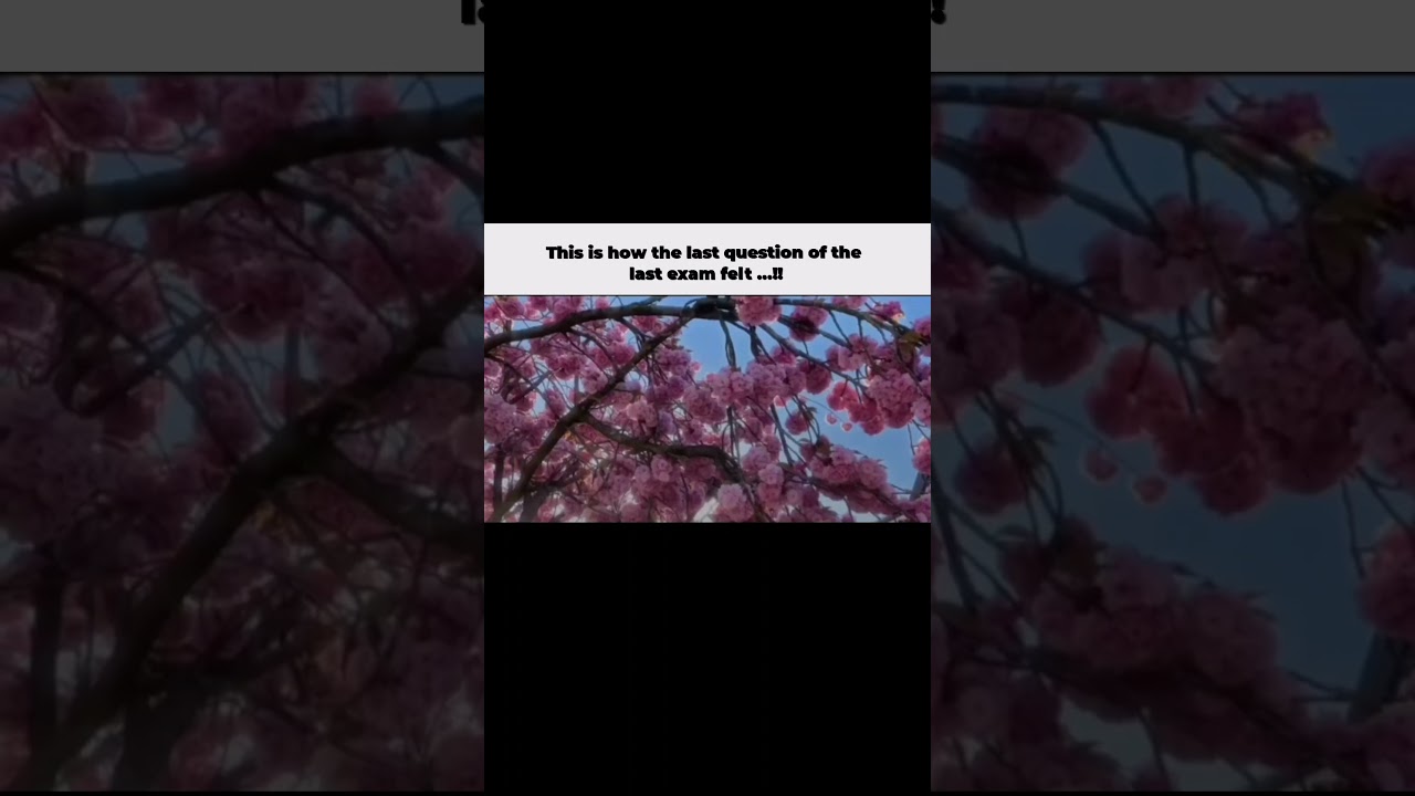 The last question of the last exam..!! ✨🫂 