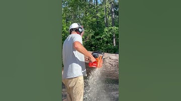 Echo sc-680🔥#shorts