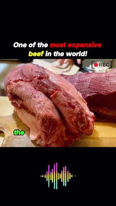 the-most-expensive-beef-in-the-world-foodreview-food-expensivetaste