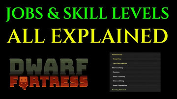 JOBS & SKILL LEVELS - Guide Tutorial DWARF FORTRESS Tips