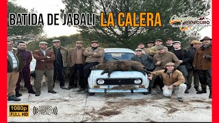 BATIDA DE JABALI   LA CALERA 2024 | CINEGÉTICA PAN DURO #236