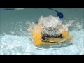 Dolphin W 20 - Automated robotic cleaning for shallow pools