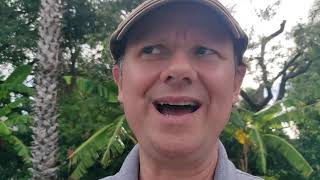 Ĉi tiu estas la unua filmeto, kiun mi faris sen scenaro!