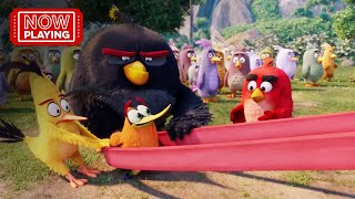 The Angry Birds Movie Slingshotting To The Castle