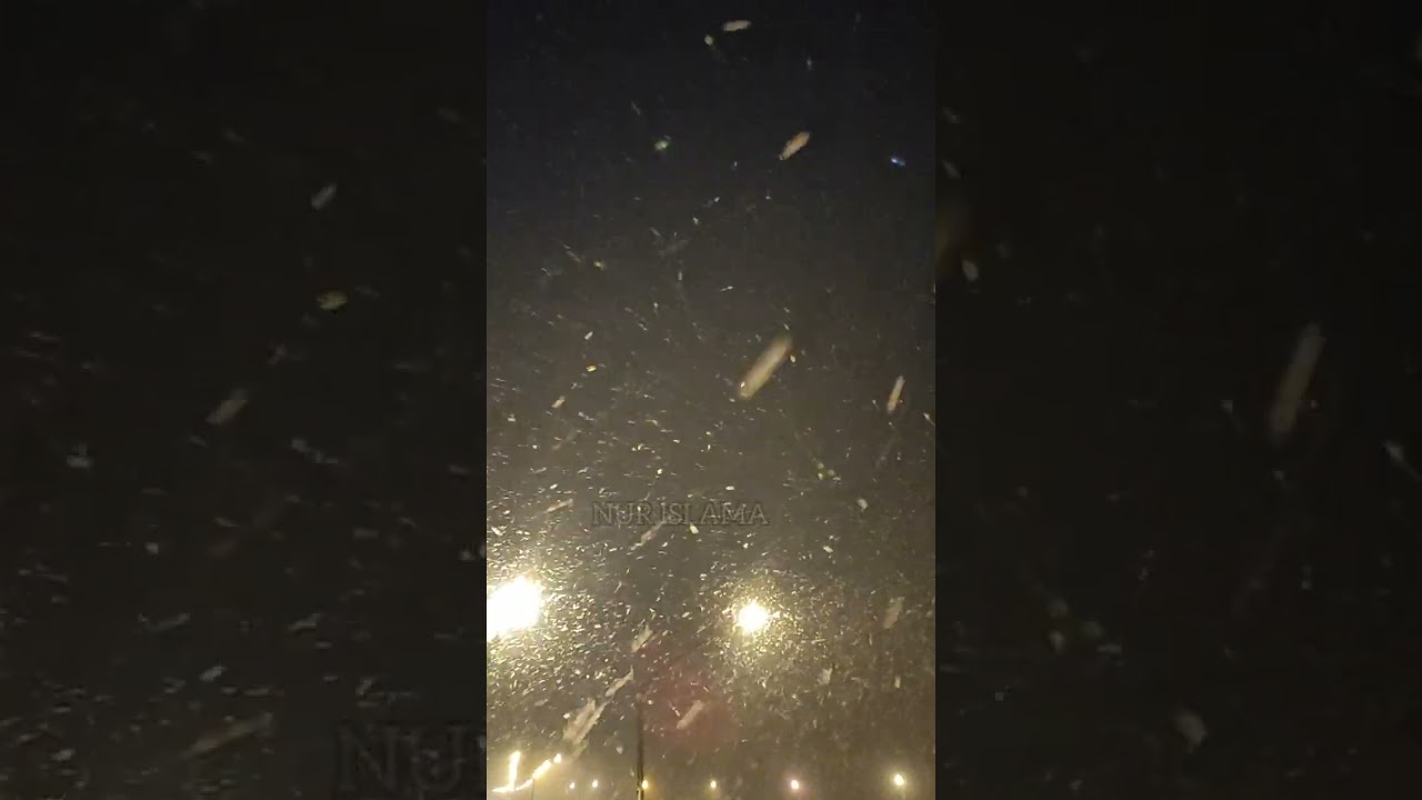 Хаза назма 1ад хьокуш Къадарий