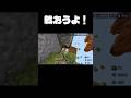 戦おうよ！ #minecraft #マインクラフト #マイクラ #minecraftshorts #マインクラフトpvp
