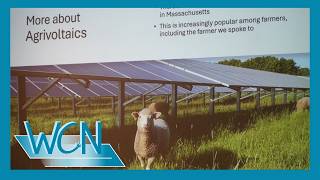 Information Gore Place Solar Project Draws Mixed Reaction From Residents News