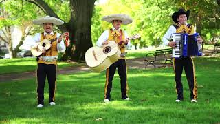 Mariachi Famoso El dia que me muera En Vivo 4K