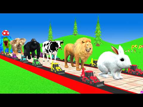 Long Slide Game with Dinosaur Lion Cow Hippopotamus Gorilla 3d Animal Game Funny 3d Animals