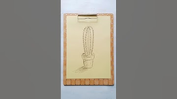 Sketch Cactus. #howtodraw #cactus #plants #sketch #drawing #tutorial #drawingtutorial #illustration