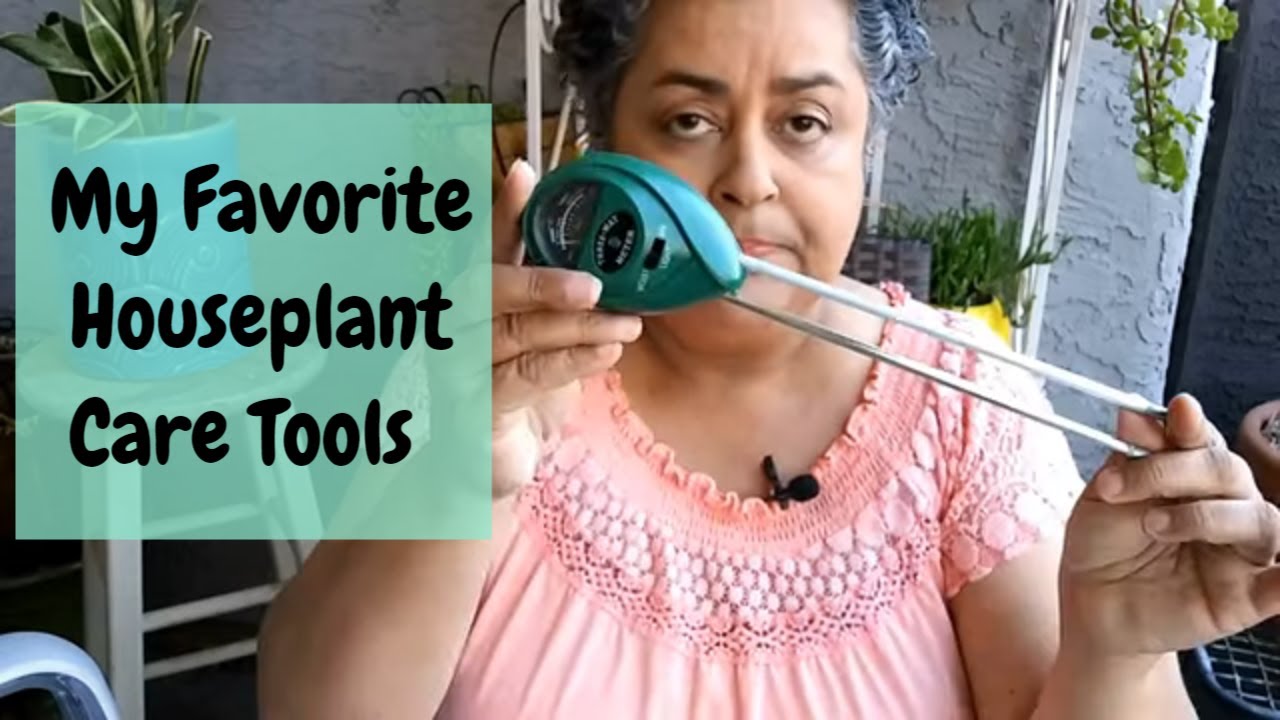 My Favorite Plant Care Tools | Houseplant Care Tips