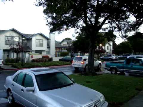 Car Speeding Through Edgewater Isle