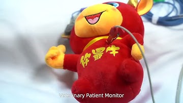 veterinary anesthesia monitoring machine