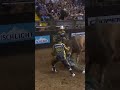 Cowtown left it's mark 😵‍💫