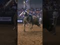 Cowtown left it's mark 😵‍💫