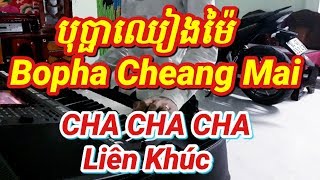 bopha chiang mai CHA CHA CHA - liên khúc nhạc sống khmer - Phol Sơn
