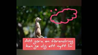 Förändring kräver beslut