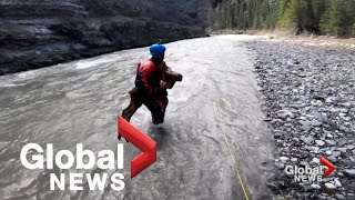 Moose calf rescued from drowning by Calgary kayakers in dramatic video