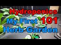 Hydroponics 101 Ep 7: Starting a Basil, Parsley, Cilantro Herb Garden... Putting it All Together