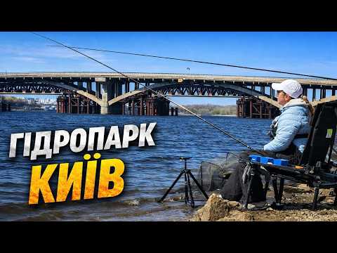 Шалений кльов плотви в центрі Києва (Гідропарк)