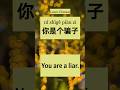 Chinese Phrases for Tough Talks 🇨🇳#ChinesePhrases #EmotionalChinesePhrases #learnchinese #Mandarin