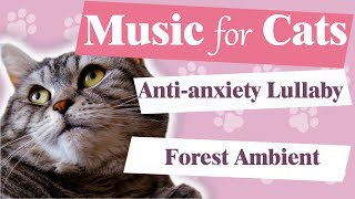 Music for Cats 🐱/ Anti-anxiety Lullaby 💤/ Forest River & Birds Ambient sounds / Soothing Atmosphere by Lounge Place 🎵  1,021 views 1 year ago 22 minutes