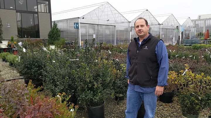 Lurvey Home & Garden - Protecting Your Evergreens ...