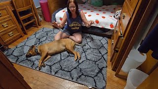 Things to know before buying this Fuzzy Soft Area Rug! | ARKIIKI