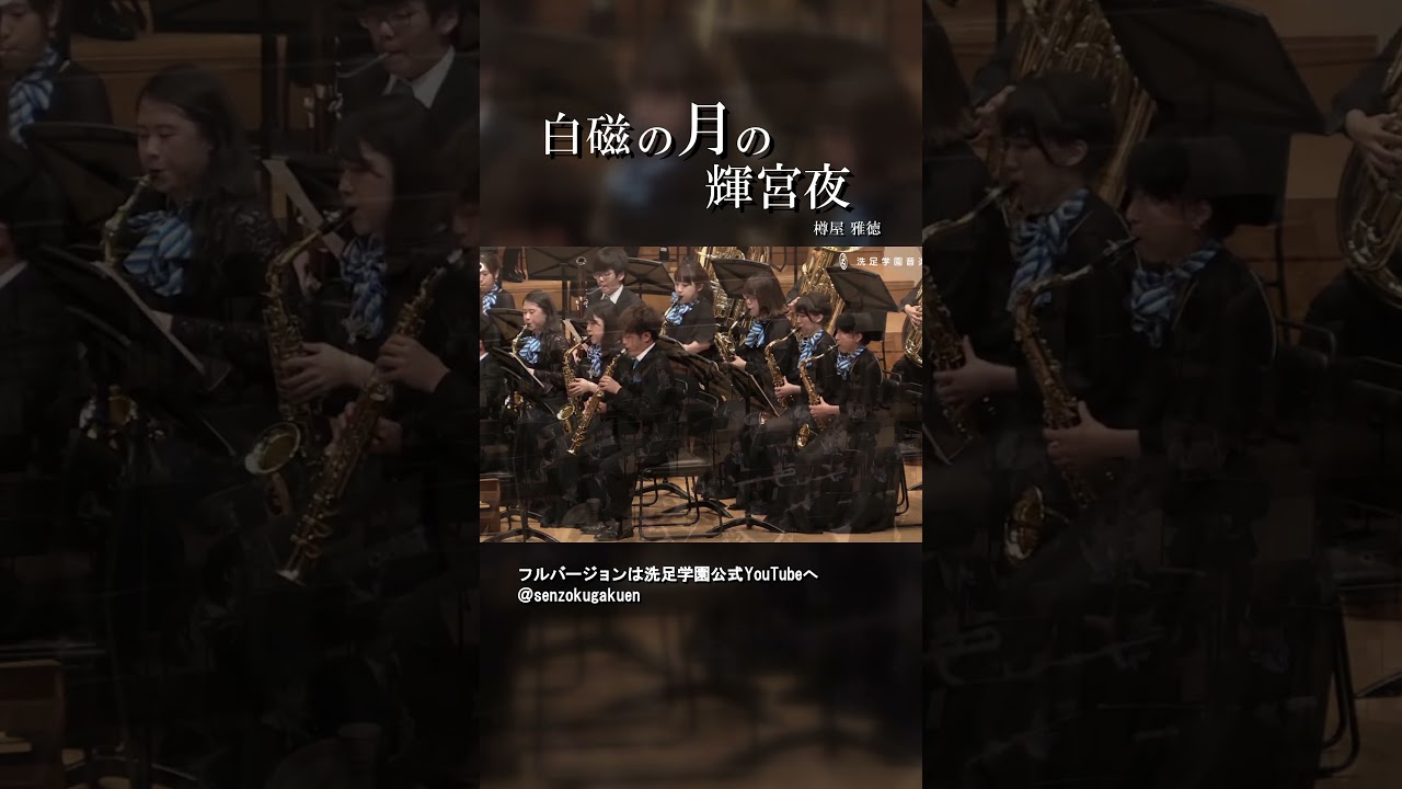 白磁の月の輝宮夜