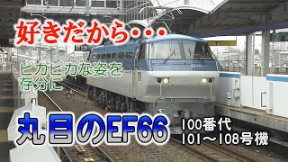 好きだからピカピカな姿を存分に!丸目のEF66 100番代