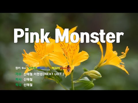 [은성 반주기] Pink Monster - 신해철.이현섭(NEXT UDT.)