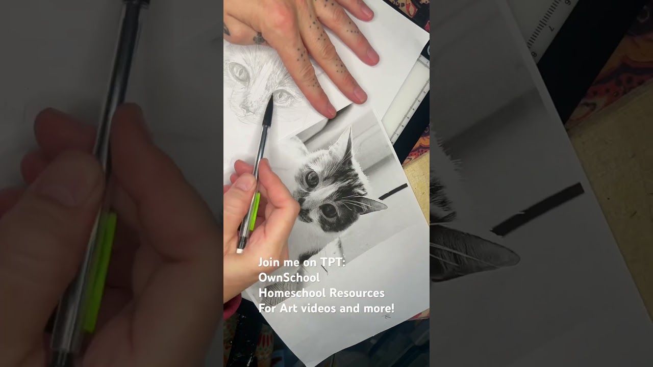 Realistic Animal Drawing Class on TPT 