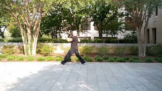 5 Elements Metal, Splitting Fist, Pi Quan Fundamental 08/09/26