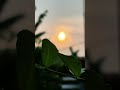 #senja #sore #trending #shortvideo
