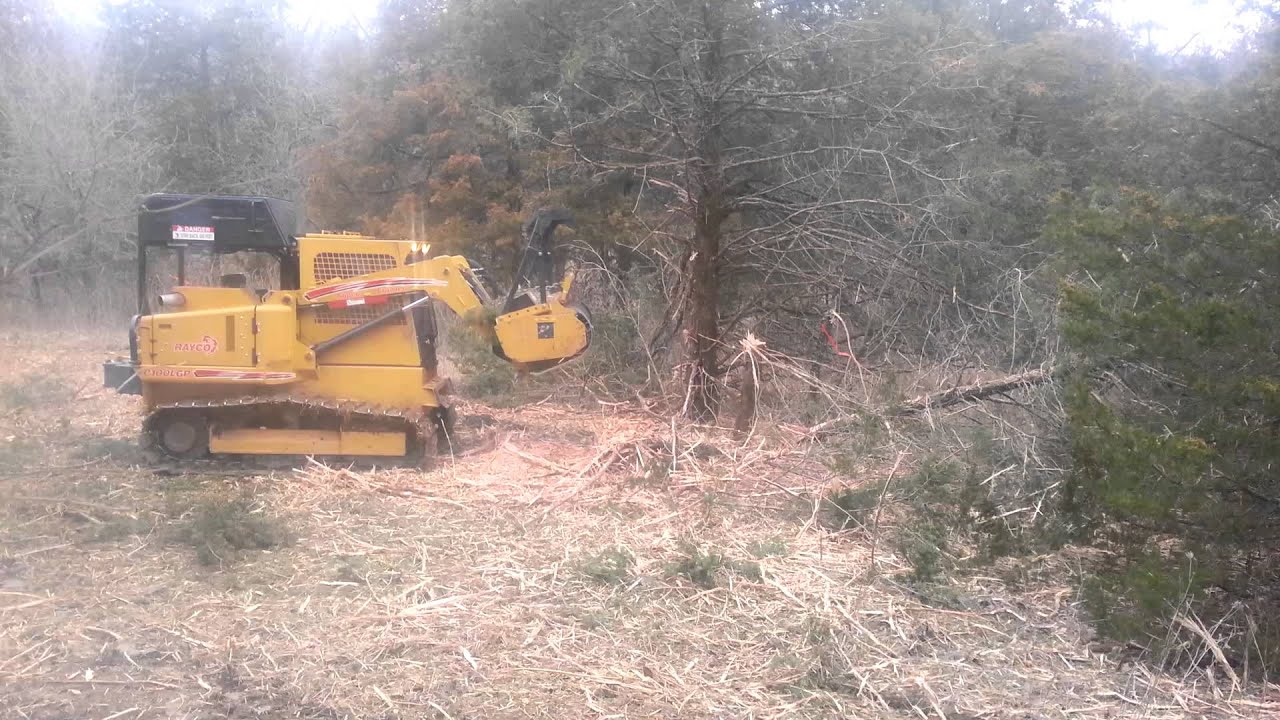 Land lot clearing by Arbor Masters - YouTube