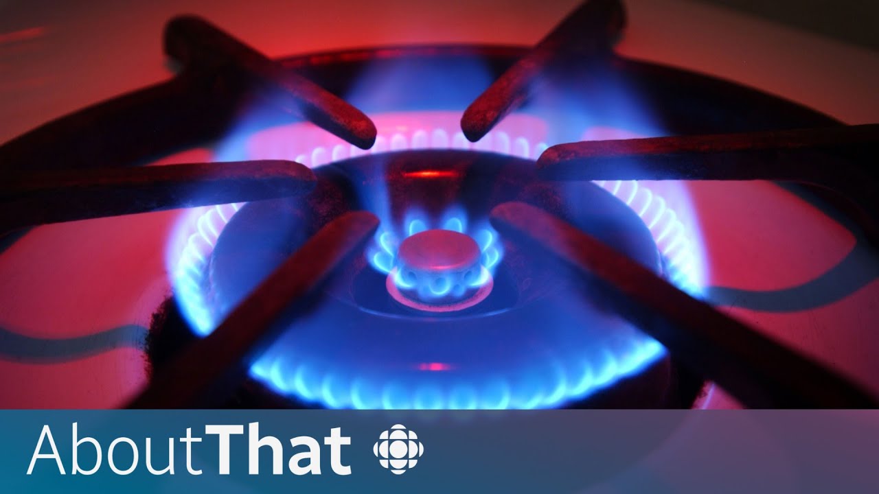 How gas stoves became a partisan issue | About That