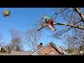 Idiots With Chainsaws: Tree Cutting Fails | Extreme Dangerous Trees Falling On Houses #16