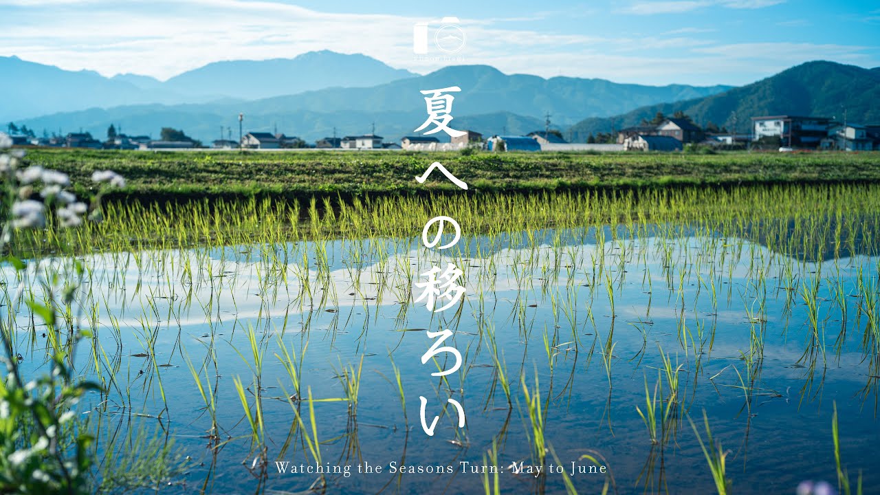 Где начинается лето: Месяц в сельской Японии