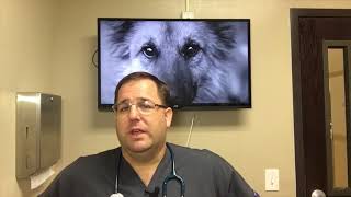 Discharge Instructions After Surgery/Dental