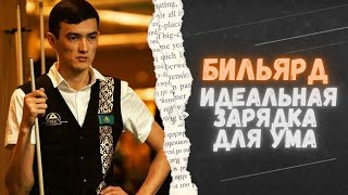 Всё, что нужно знать о бильярде | Спортивный интерес